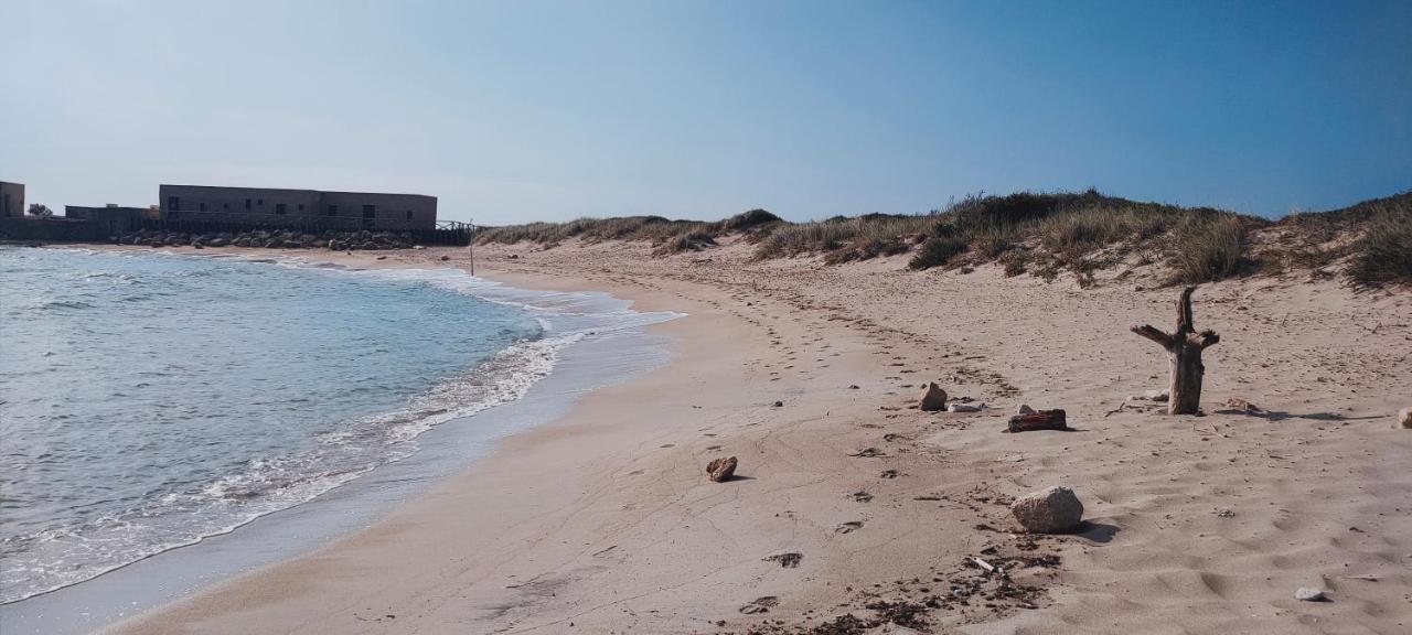 Casa Vacanza In Pieno Centro Storico Vicino Ostuni E La Riserva Di Torre Quaceto 산비토데이노르만니 외부 사진